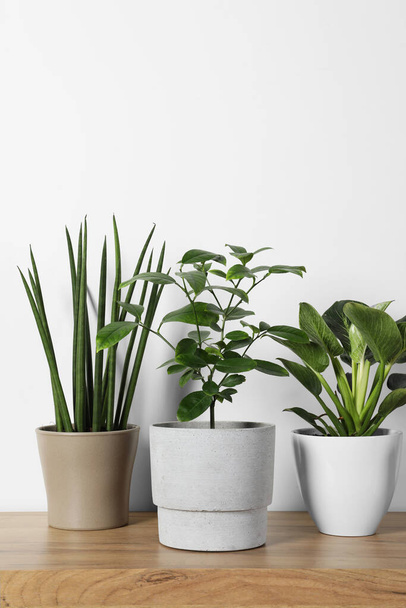 Many different houseplants in pots on wooden table near white wall, space for text - Photo, image