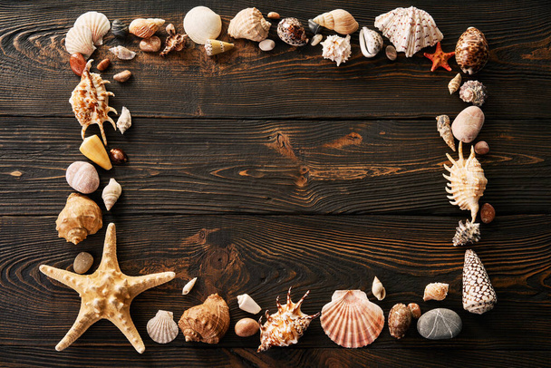 Seashells frame with copy space for text on dark wooden background. Summer, holidays travel concept. Flat lay, top view - Foto, imagen