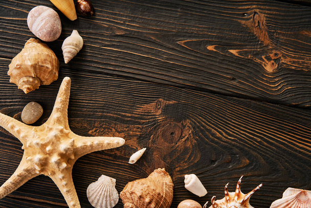 コピースペース付きの暗い木製の背景に美しい貝殻やヒトデ。フラットレイアウト、トップビュー。夏休み旅行のコンセプト - 写真・画像