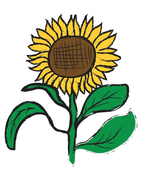 Doodle sun flower on white background - Valokuva, kuva