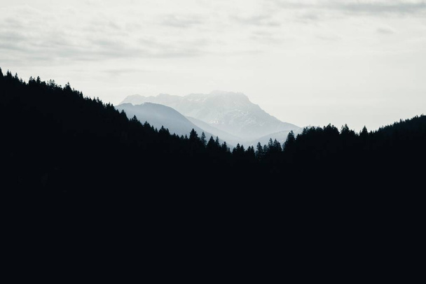 A beautiful view of trees on the mountain silhouette - Фото, изображение