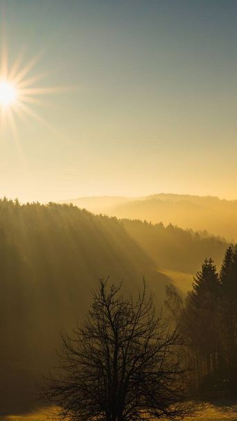 A golden sunrise over the trees and mountain - Φωτογραφία, εικόνα