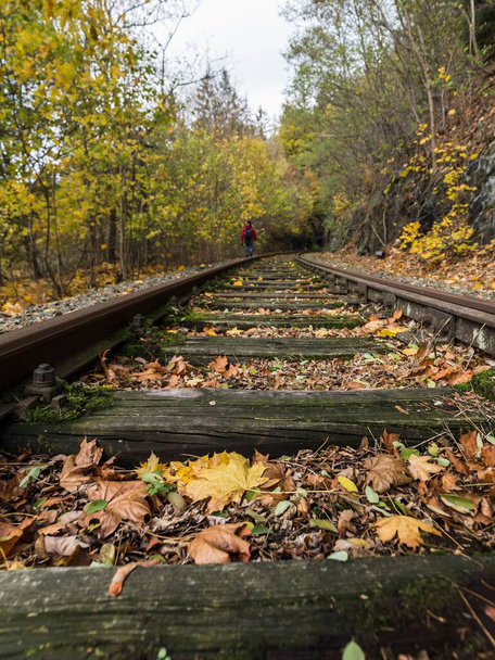A vertical shot of old railroad tracks in the forest in autumn - Фото, зображення