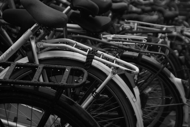 A greyscale shot of a bicycle's rear tire and seat - 写真・画像