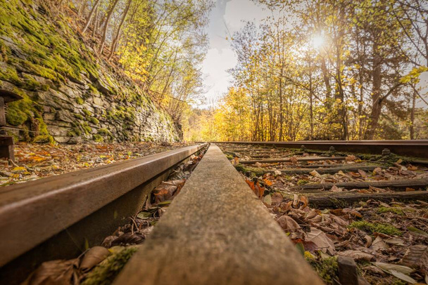 A view of old railroad tracks in the forest in autumn - Fotoğraf, Görsel