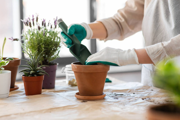 people, gardening and planting concept - close up of woman in gloves with trowel pouring soil to flower pot at home - Foto, afbeelding