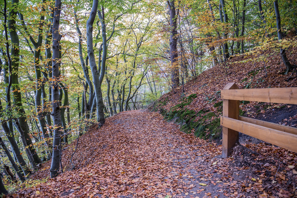 Осень в Гдыне
 - Фото, изображение