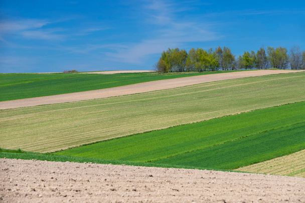 Polonya 'nın yeşil-kahverengi tarım arazileri. Çiftçilerin bahar çalışması. Resimli bahar manzarası. Doğa arkaplanı. - Fotoğraf, Görsel