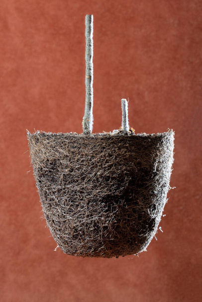 An earthen lump from a pot with a houseplant - Фото, изображение