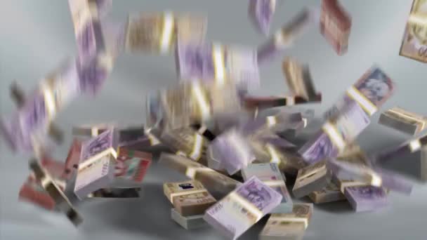 Albánské bankovky Peníze / Albánské lek / Měna L / ALL - Záběry, video