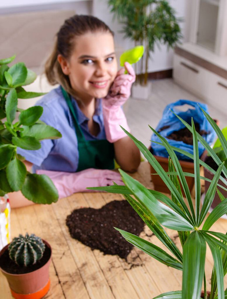The young female gardener with plants indoors - Fotoğraf, Görsel