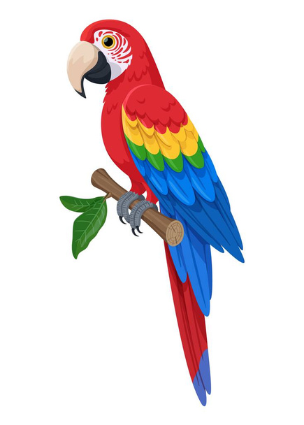 Scarlet ara zittend op een tak vector illustratie. Grote rode ara tropische papegaai met blauw-gele vleugels. Tropische vogel geïsoleerd op witte achtergrond. Voorraadvector. - Vector, afbeelding