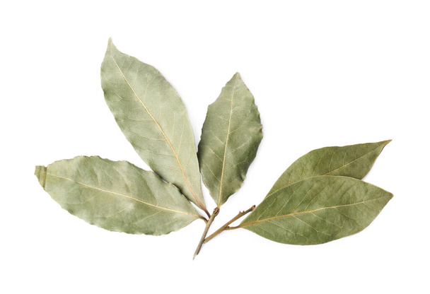 Sprig of aromatic bay leaves on white background, top view - Foto, immagini