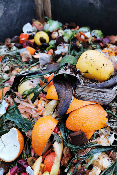текстура компоста из бытовых отходов в качестве экологического фона - Фото, изображение