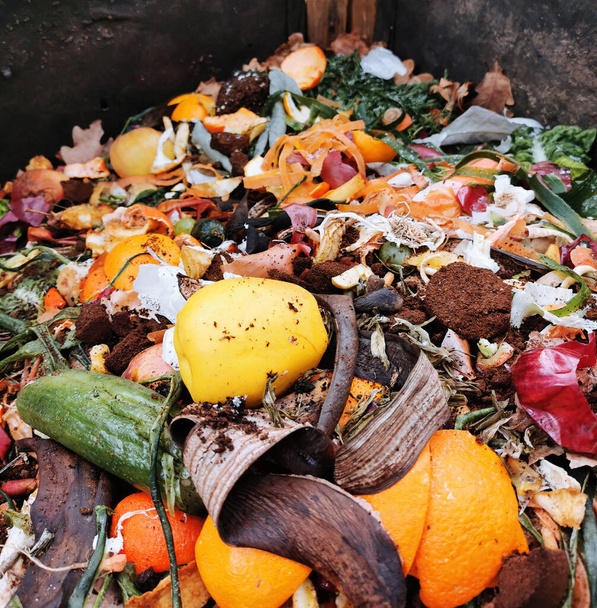 Kompost aus Hausmüll als ökologischer Hintergrund - Foto, Bild