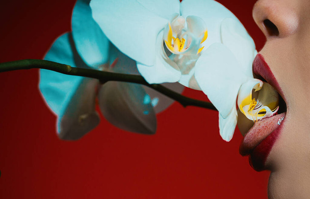 Orchid and sexy woman lips. Orchid flower on sensual woman mouth - Foto, Imagem