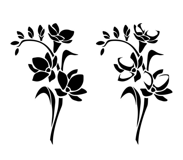 Freesia flowers. Set of black silhouettes of freesia isolated on a white background. Vector illustration - Vector, imagen