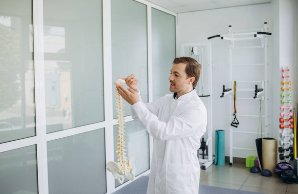 un vertebrologista sostiene un modelo de la columna vertebral en su mano - Foto, Imagen