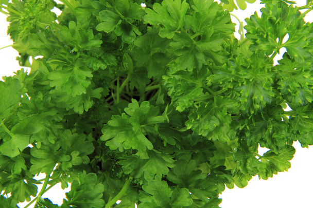 frische Petersilienblätter - grüne Kräuter - Foto, Bild