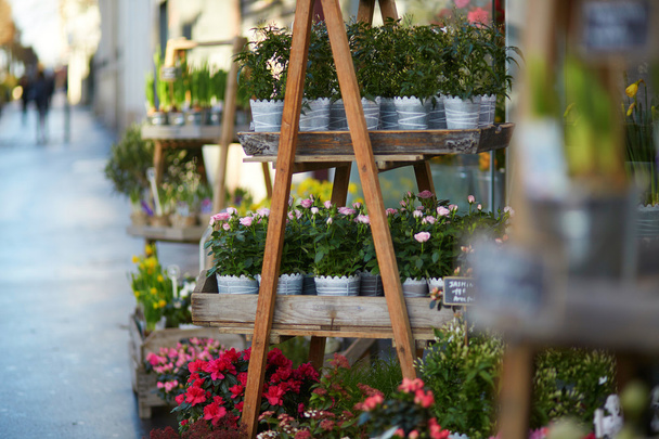Outdoor flower shop in Paris - Фото, изображение
