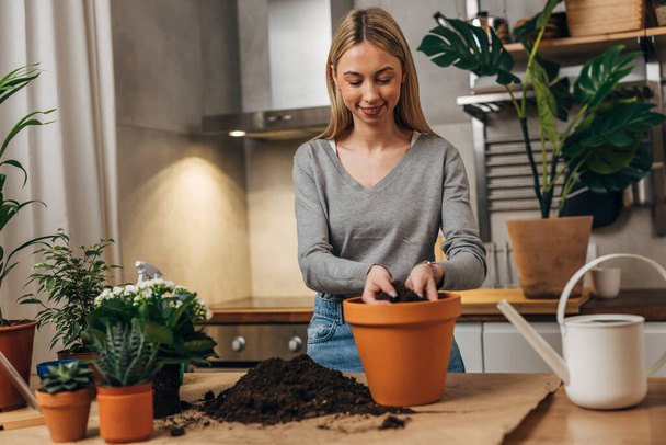 A young Caucasian woman is potting houseplants. - Photo, Image