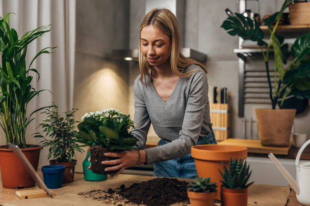 A beautiful young woman enjoys working with plants. - Zdjęcie, obraz