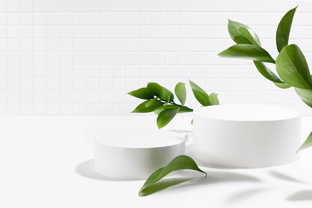 Spring fresh elegant white scene with two circle podiums mockup, classic mosaic wall, lush green leaves in bright sunlight, shadow, template for presentation cosmetic products, goods, design. - 写真・画像