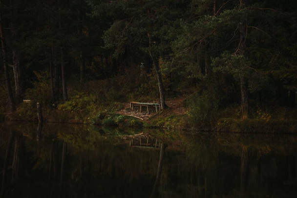 A lonely bench on the edge of the lake with green trees reflected in the waters - Фото, изображение