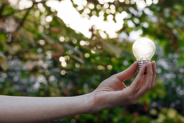 A woman's hand holding a lit lightbulb against a bokeh, nature background - concept of having an idea - Photo, Image