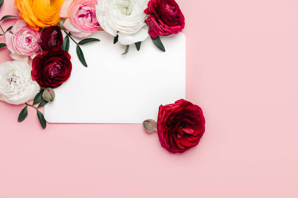 Tender ranunculus flowers as flatlay on pink background with copy space and blank card. Bunch of Persian buttercup in floral arrangements, top view - 写真・画像
