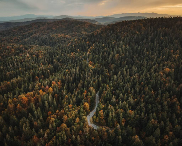 An aerial shot of a winding road surrounded by the dense forest with hills in the background - Valokuva, kuva