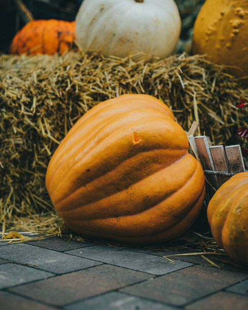 A vertical shot of a bunch of various shaped pumpkins on hay bales - autumn setting - Fotografie, Obrázek