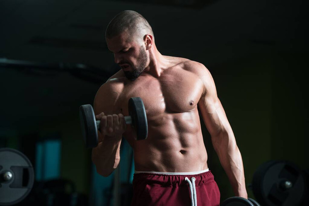 A Caucasian Good Looking Attractive Male exercising Weight with dumbbells training In Gym - 写真・画像