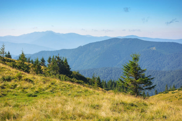 carpathian mountain ridge in summer. steep forested slopes. bright sunny weather - Фото, зображення