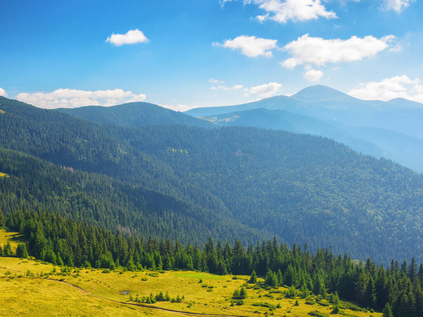carpathian countryside in summer. scenery with green meadows and forested hills. bright sunny weather - Foto, afbeelding