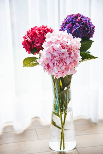 Bouquet of colorful blooming hydrangea flowers in a vase - 写真・画像
