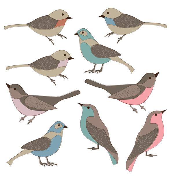 Handgezeichnete Vögel - Vektor, Bild