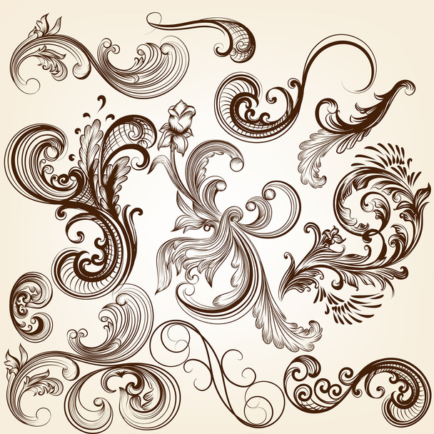 Collection of vector decorative floral calligraphic elements - Вектор,изображение
