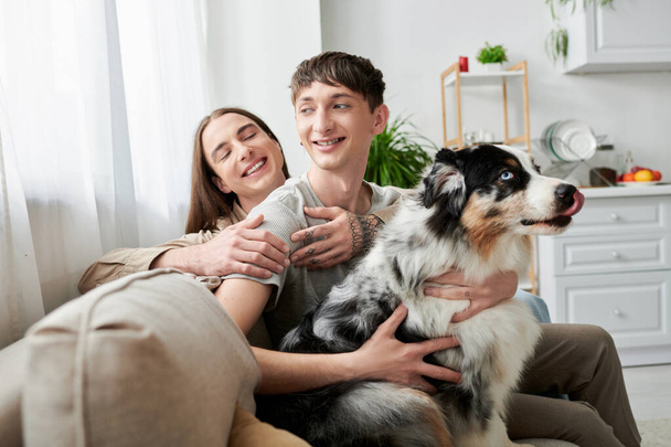 Fiatal és hosszú hajú homoszexuális férfi ölelés mosolygós barátja simogató szőrös ausztrál pásztor kutya kényelmes kanapén nappaliban otthon  - Fotó, kép