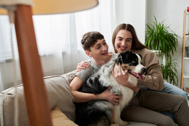 Smiling lgbt couple in casual clothes petting friendly Australian shepherd dog while sitting on couch near blurred floor lamp in modern living room at home  - Φωτογραφία, εικόνα