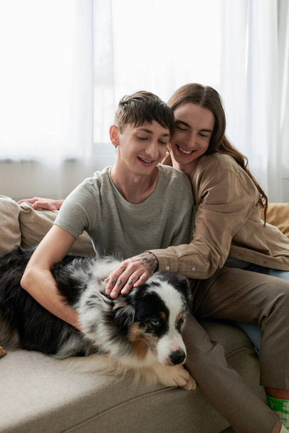 Long haired and tattooed gay man petting furry Australian shepherd dog near smiling partner in t-shirt sitting on couch while spending time together at home  - 写真・画像