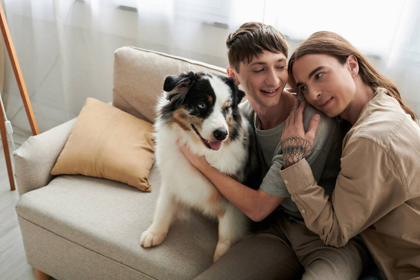 Τατουάζ και μακριά μαλλιά γκέι άντρας σε casual ρούχα αγκαλιάζει ανέμελη φίλο χαϊδεύει φιλικό αυστραλιανό ποιμενικό σκυλί, ενώ κάθεται στο μοντέρνο καναπέ στο σαλόνι στο σπίτι  - Φωτογραφία, εικόνα