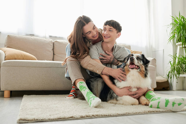 Young and carefree same sex couple in socks hugging and petting furry Australian shepherd dog resting on carpet on floor in modern living room at home  - Foto, imagen