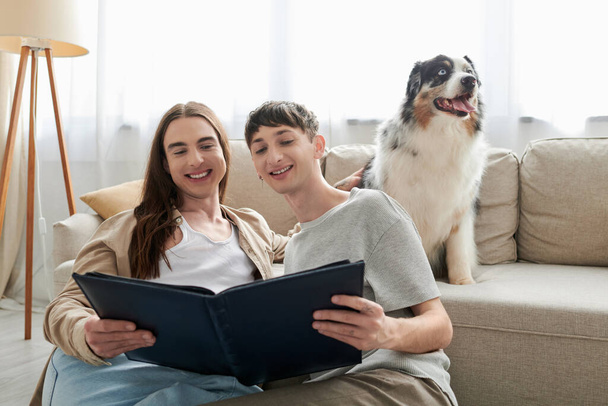 positivo lgbt pareja mirando álbum de fotos y sonriendo mientras tiene recuerdos felices y sentado cerca de perro pastor australiano y sofá en la sala de estar moderna en casa  - Foto, imagen