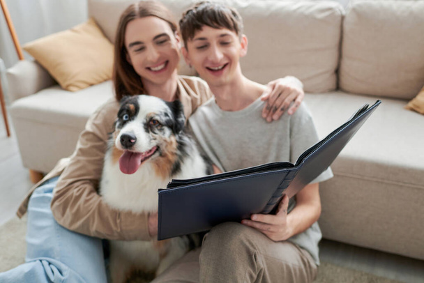 glückliches homosexuelles Paar blickt auf Fotoalbum und lächelt, während es glückliche Erinnerungen hat und neben australischem Schäferhund und Sofa im modernen Wohnzimmer auf verschwommenem Hintergrund sitzt  - Foto, Bild