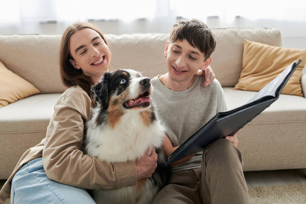 smiling and young gay men looking together at Australian shepherd dog and holding photo album while smiling in living room at modern apartment  - Fotografie, Obrázek