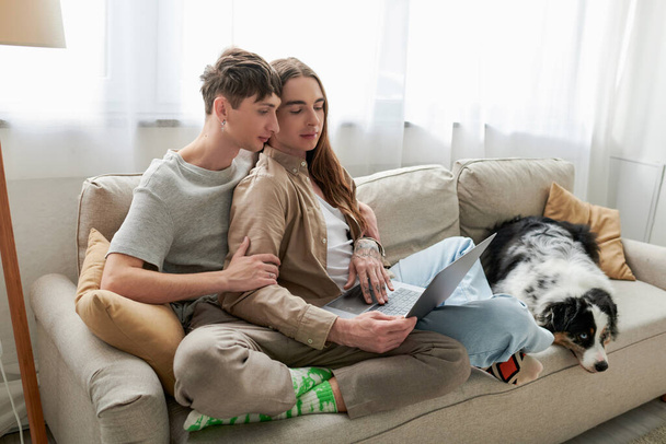 Молода пара lgbt в повсякденному одязі дивлячись на ноутбук під час пошуку чогось в Інтернеті і сидячи на зручному дивані біля австралійського собаки пастуха в сучасній квартирі.  - Фото, зображення