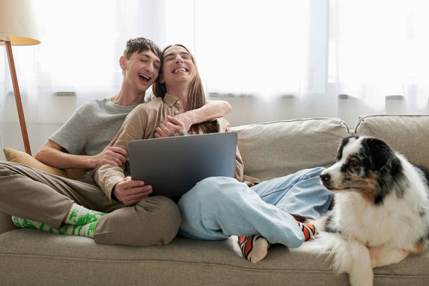 cheerful gay couple in casual clothes hugging and using laptop while sitting together on comfortable couch with pillows near furry friend in modern living room  - Foto, Imagem