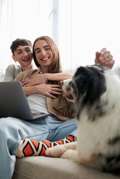 cheerful gay partners in casual clothes smiling while hugging each other and sitting together near laptop and cuddling cute furry friend resting near them on couch in modern living room - Photo, Image