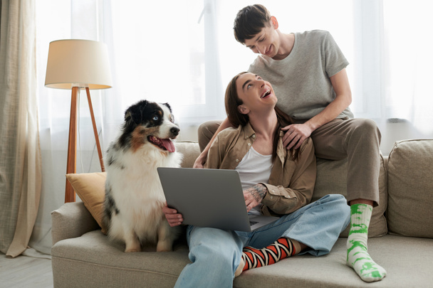 Australian shepherd dog resting on comfortable couch near cheerful gay partners in casual clothes smiling while hugging each other and sitting together with laptop  - Photo, Image
